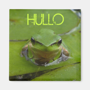 HULLO MAGNEET