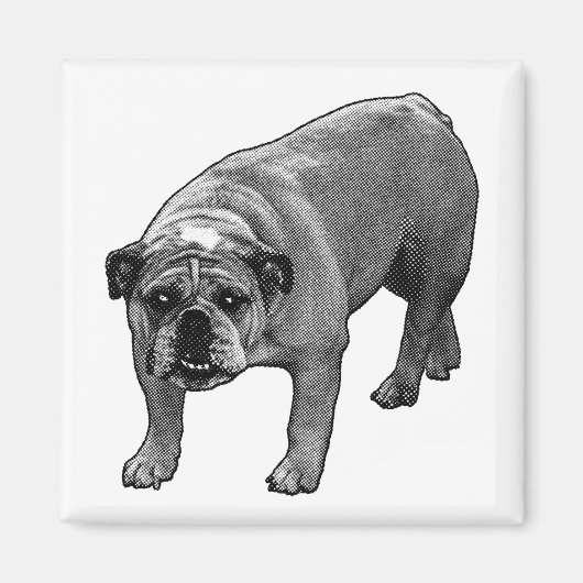 Hulp bij koelkaststickers magneet (Voorkant)