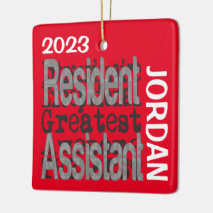 Hulpbewoonster Extraordinaire Aangepast Keramisch Ornament