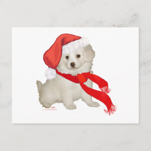 Hulpje van de Kerstman Puppy Poodle / Bichon Mix Feestdagenkaart