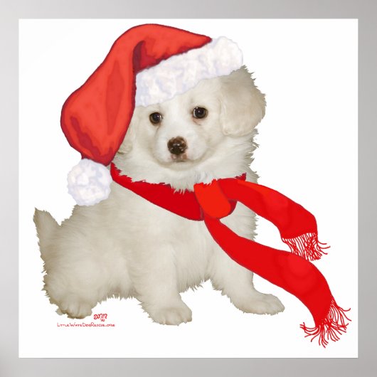 Hulpje van de Kerstman Puppy Poodle / Bichon Mix Poster (Voorkant)