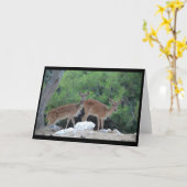 Hulppostkaart Herten-Cadeauansichtkaart Hert Kaart (Gele Bloem)