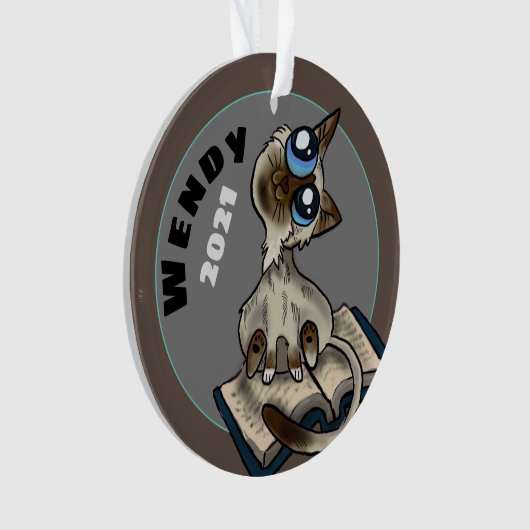 Hulpvolle Studiekat Aangepaste Siering Ornament (voorkant)