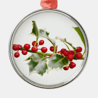 Hulst Sieraad Metalen Ornament