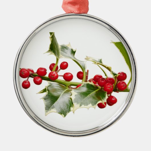 Hulst Sieraad Metalen Ornament (Voorkant)