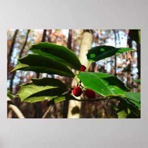 Hulstblad I Vakantiebloemen Poster