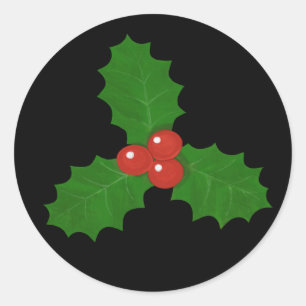 Hulstblad Ronde Sticker