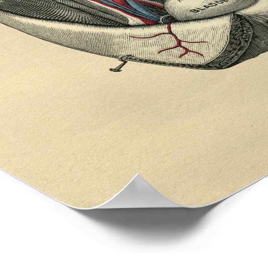 Humaan abdominale anatomie 1902 afdrukken poster (Hoek)