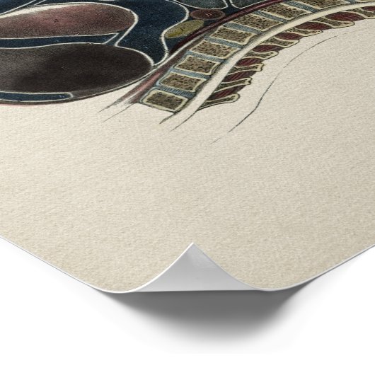 Humaan abdominale anatomie afdrukken poster (Hoek)