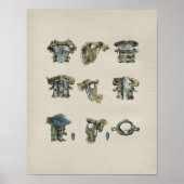 Humaan Cervicale Spine Anatomie  afdrukken Poster (Voorkant)