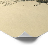 Humaan gezichtszenuwstelsel Anatomie 1902  afdrukk Poster (Hoek)