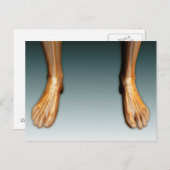 Humaan lekken en gevoel bij zenuwstelsel briefkaart (Voorkant / Achterkant)