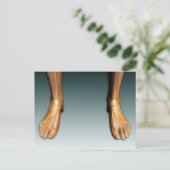 Humaan lekken en gevoel bij zenuwstelsel briefkaart (Staand voorkant)