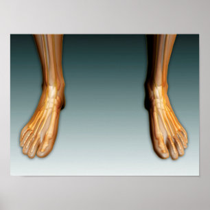 Humaan lekken en gevoel bij zenuwstelsel poster