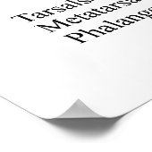 Humaan Mannelijk Skeleton poster (Hoek)