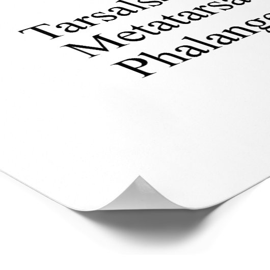 Humaan Mannelijk Skeleton poster (Hoek)