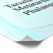 Humaan Mannelijk Skeleton poster (Hoek)