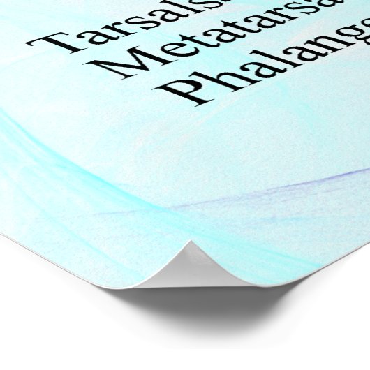 Humaan Mannelijk Skeleton poster (Hoek)