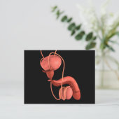 Humaan Mannelijk Voortplantingsstelsel 1 Briefkaart (Staand voorkant)