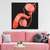 Humaan Mannelijk Voortplantingsstelsel 3 Canvas Afdruk (Insitu (Woonkamer))