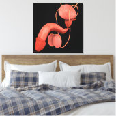 Humaan Mannelijk Voortplantingsstelsel 3 Canvas Afdruk (Insitu (Slaapkamer))