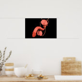 Humaan Mannelijk Voortplantingsstelsel 3 Poster (Keuken)