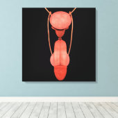 Humaan Mannelijk Voortplantingsstelsel 5 Canvas Afdruk (Insitu (Houten vloer))