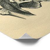 Humaan Musculair Anatomie 1902  afdrukken Poster (Hoek)