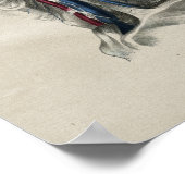 Humaan neklymfatica Anatomie  afdrukken Poster (Hoek)