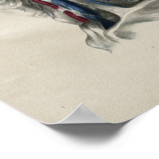 Humaan neklymfatica Anatomie  afdrukken Poster (Hoek)