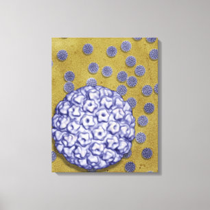 Humaan papilloomvirus canvas afdruk
