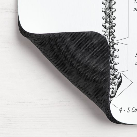 Humaan ruggengraat muismat (Hoek)