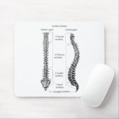 Humaan ruggengraat muismat (Met muis)