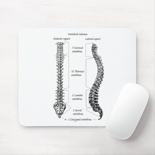 Humaan ruggengraat muismat (Met muis)