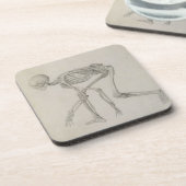 Humaan skelet: Lateraal uitzicht in Crouching Post Bier Onderzetter (Linkerzijde)