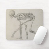 Humaan skelet: Lateraal uitzicht in Crouching Post Muismat (Met muis)