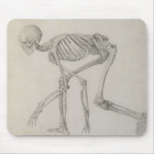 Humaan skelet: Lateraal uitzicht in Crouching Post Muismat (Voorkant)