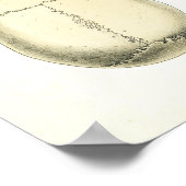 Humaan Skeletanatomie Poster 24 x 36 (Hoek)