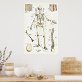 Humaan Skeletanatomie Poster 24 x 36 (Keuken)