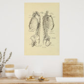Humaan skeletdwarsdoorsnede van ruggengraat poster (Keuken)