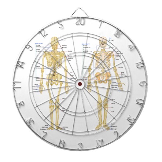 Humaan Skeleton met anatomiediagram Dartbord (Voorkant)