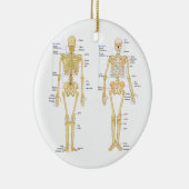 Humaan Skeleton met anatomiediagram Keramisch Ornament (Rechts)