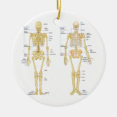 Humaan Skeleton met anatomiediagram Keramisch Ornament (Voorkant)