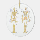 Humaan Skeleton met anatomiediagram Keramisch Ornament (Links)