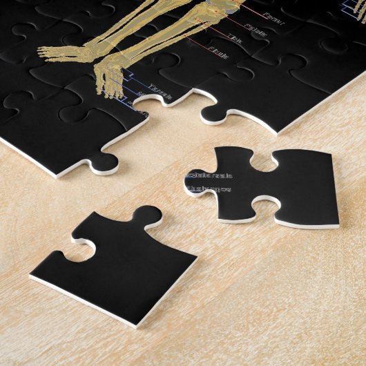 Humaan Skeleton met anatomiediagram Legpuzzel (Zijkant)