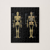 Humaan Skeleton met anatomiediagram Legpuzzel (Verticaal)