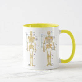 Humaan Skeleton met anatomiediagram Mok