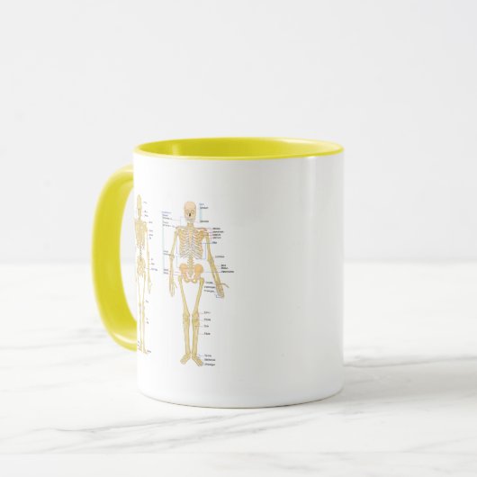 Humaan Skeleton met anatomiediagram Mok (Voorkant links)