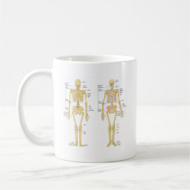 Humaan Skeleton met anatomiediagram Mok