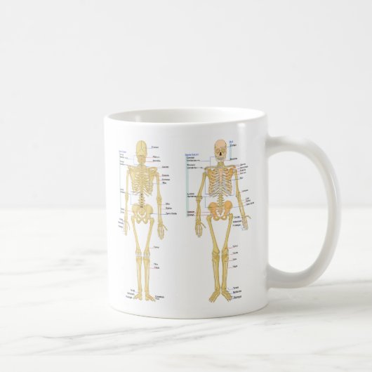 Humaan Skeleton met anatomiediagram Mok (Rechts)